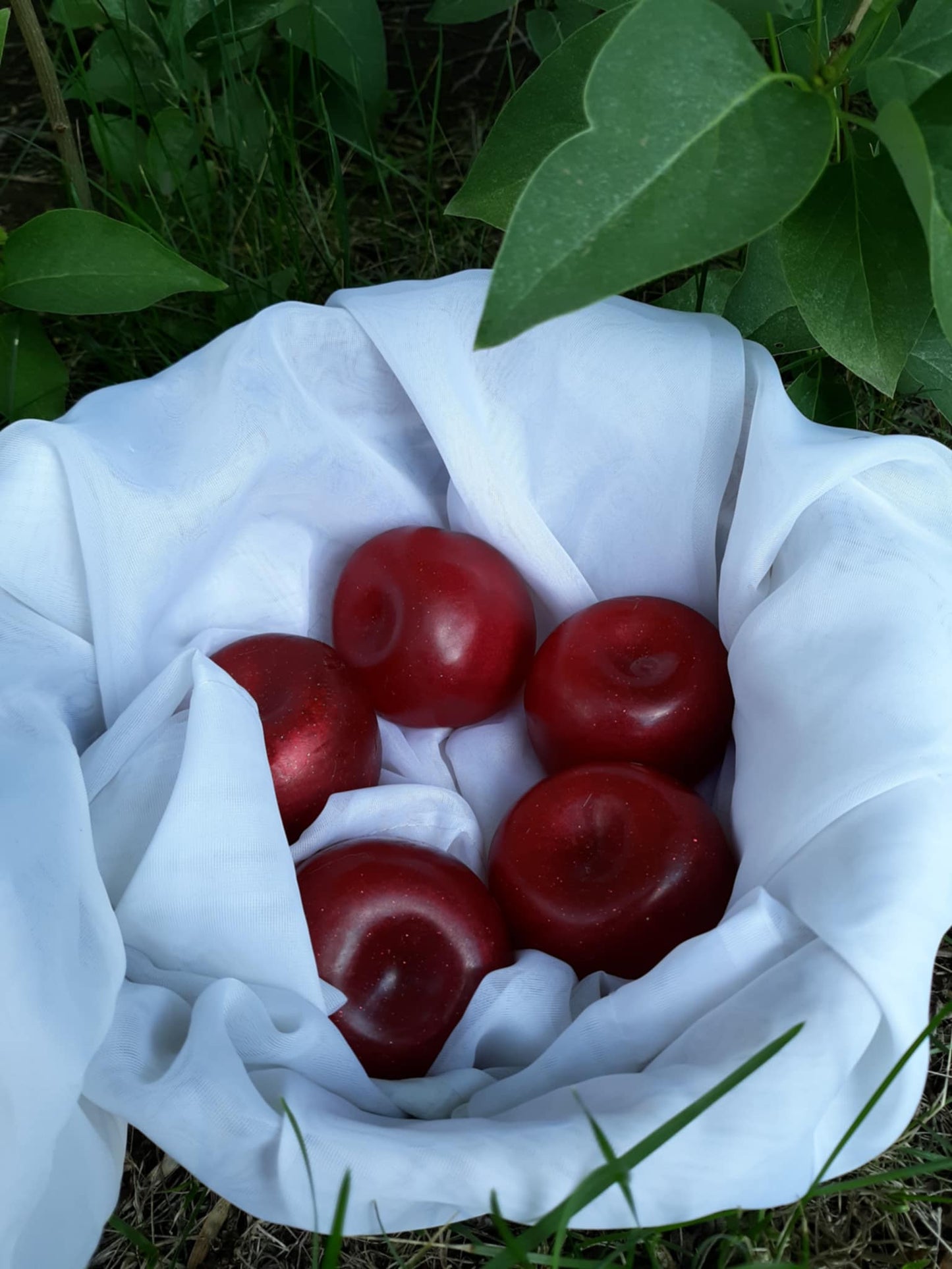 An Apple A Day